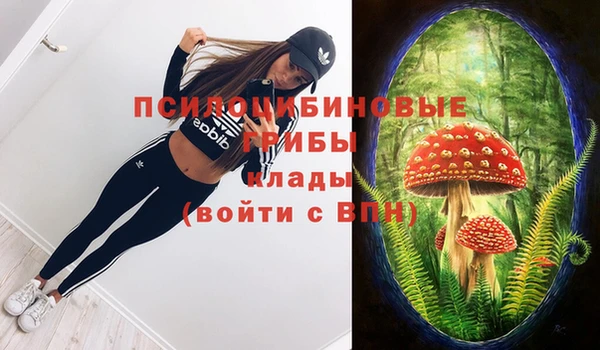 бошки Алексеевка