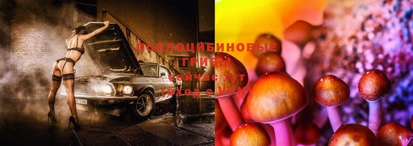 mdpv Алзамай